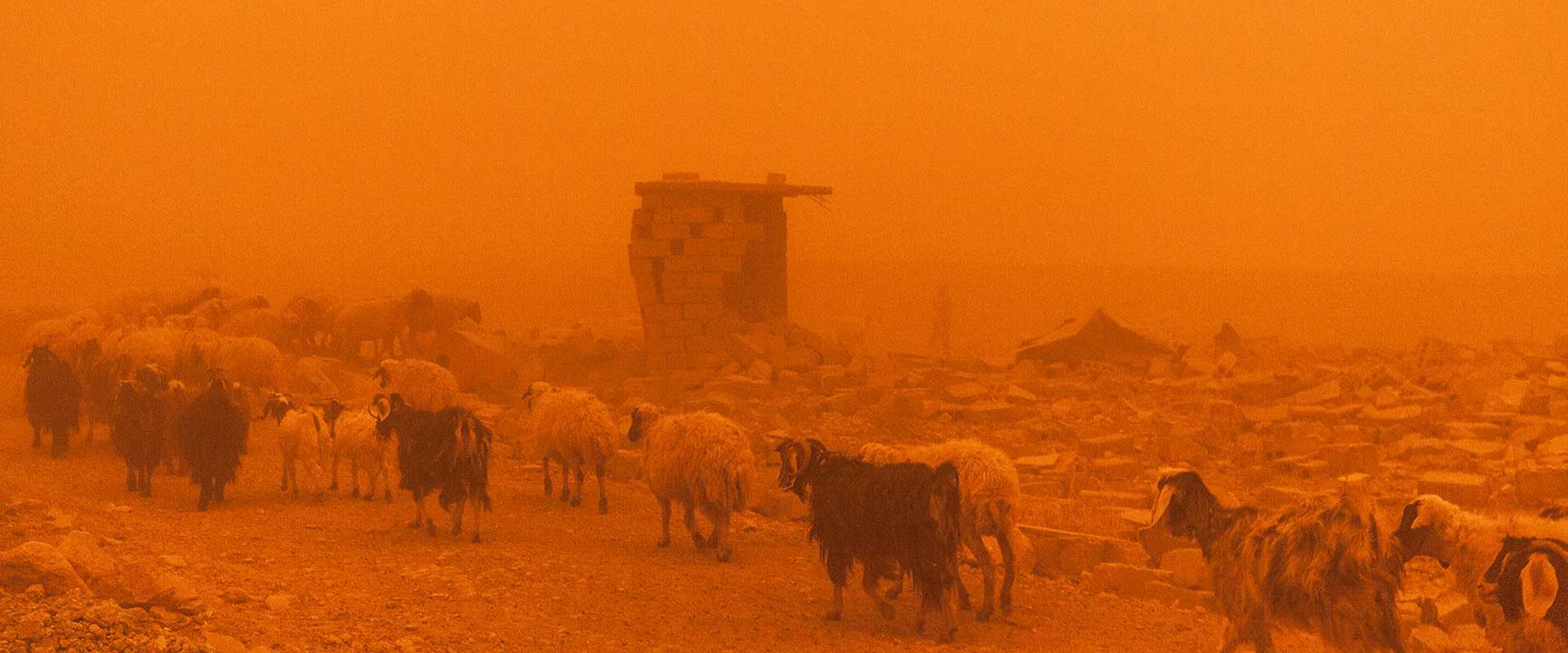 Agriculture, conflict and climate change in Iraq